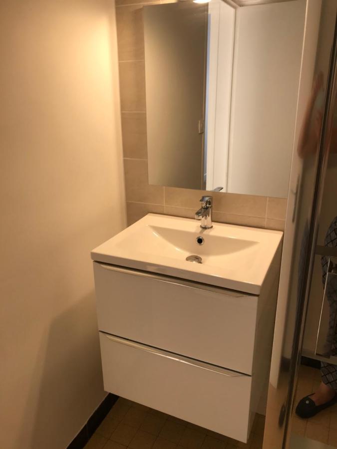 Grenoble Joli Appartement Esterno foto